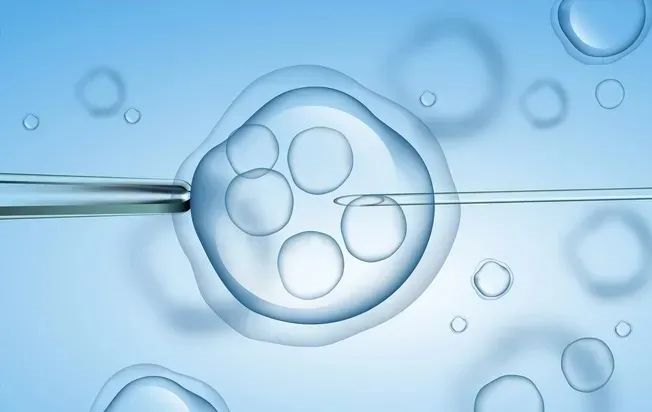 临沂试管成功率医院排名